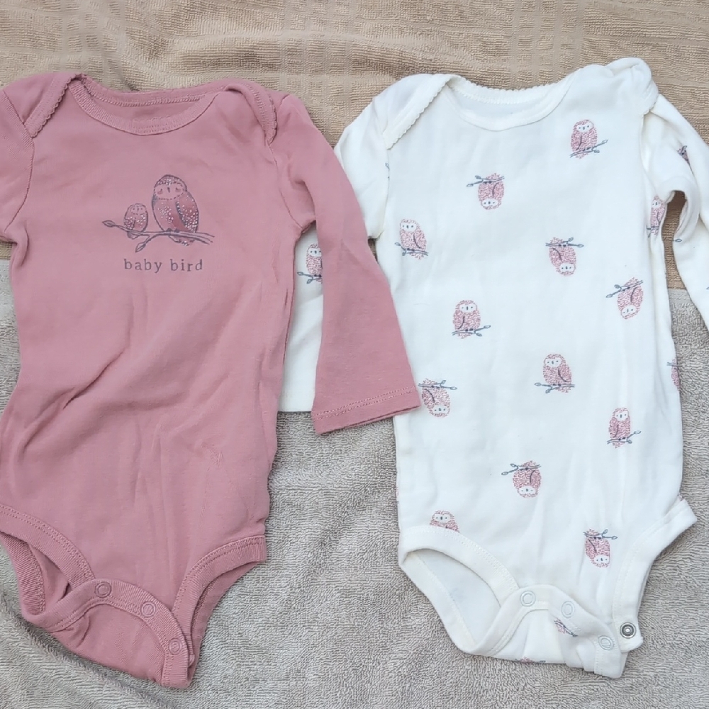 Carter's Pink and White Owl Bodysuits